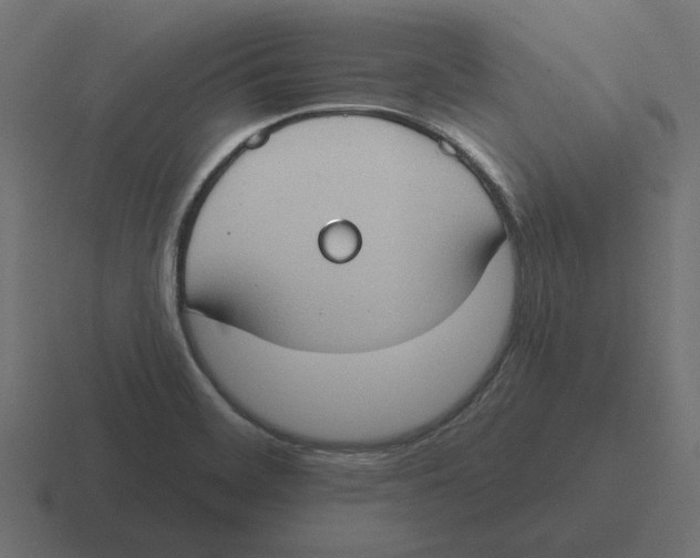 X0000116511468200912292135