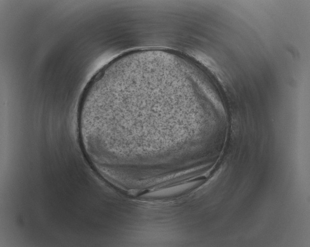 X0000116511469200912292135