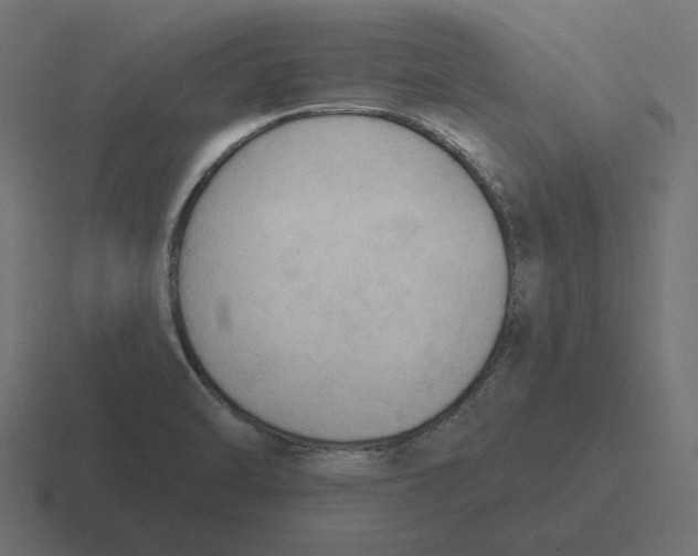 X0000116511470200912292135