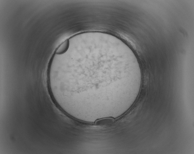 X0000116511471200912292135