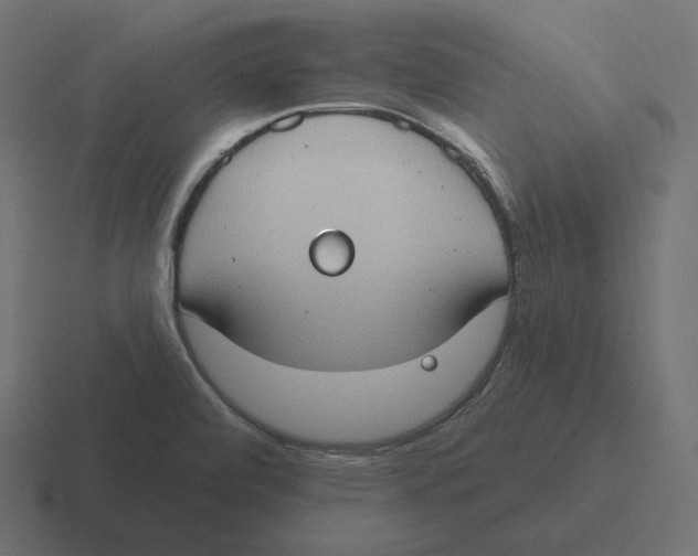 X0000116511472200912292135