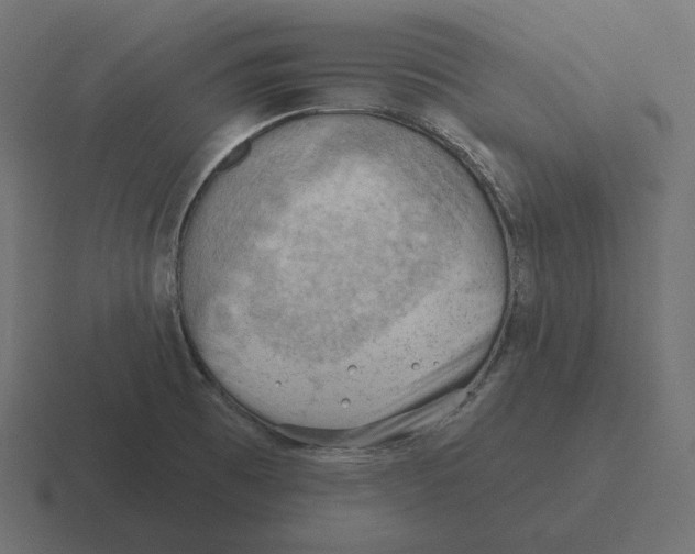 X0000116511473200912292135