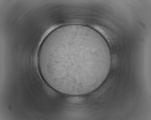 X0000116511474200912292135