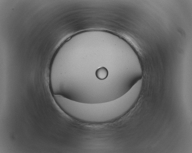 X0000116511476200912292135