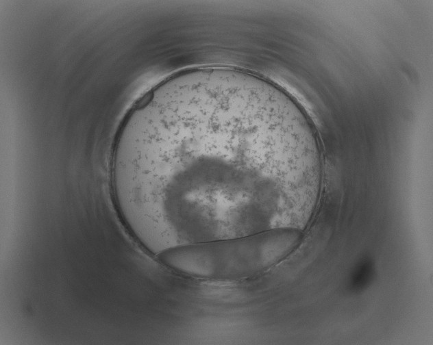 X0000116511477200912292135