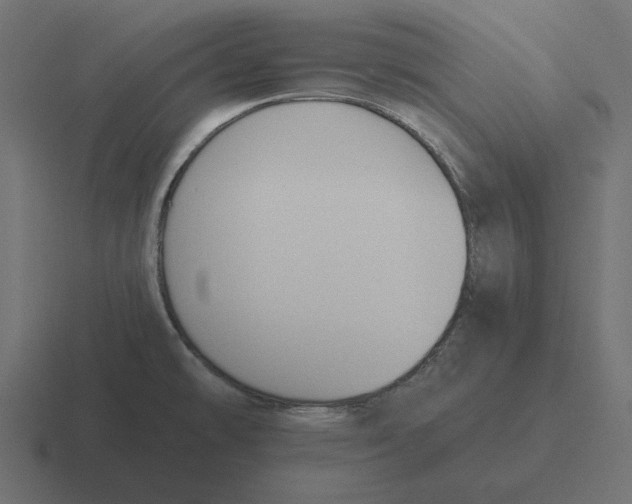 X0000116511478200912292135