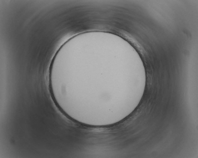 X0000116511479200912292135