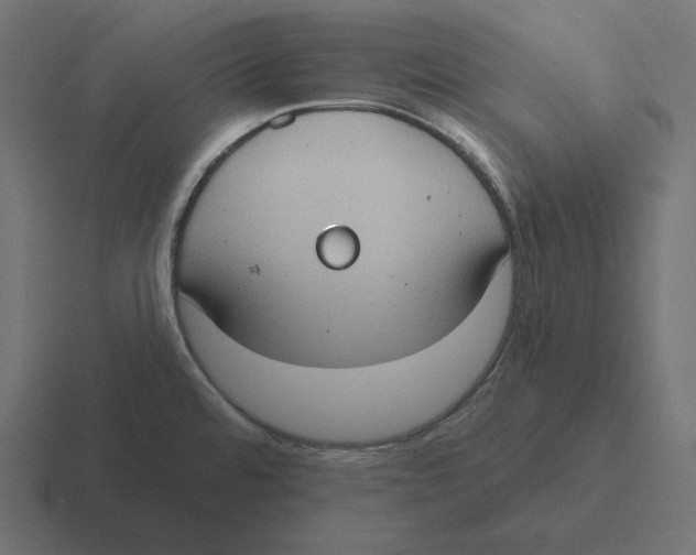 X0000116511480200912292134