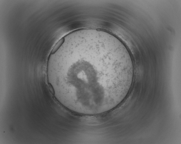 X0000116511481200912292134