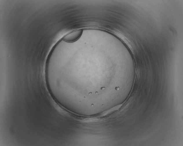 X0000116511482200912292134