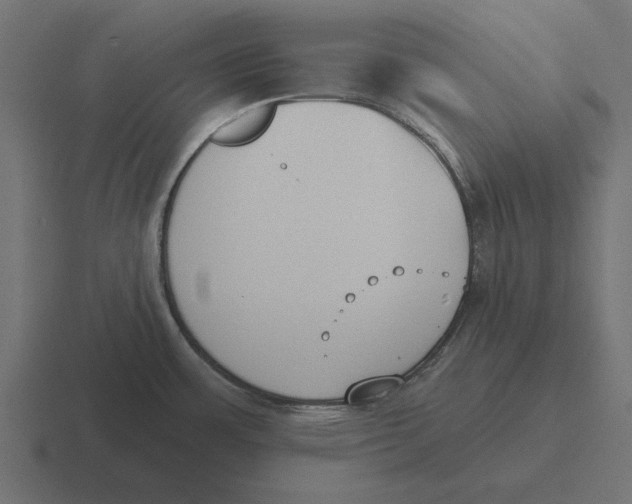 X0000116511483200912292134