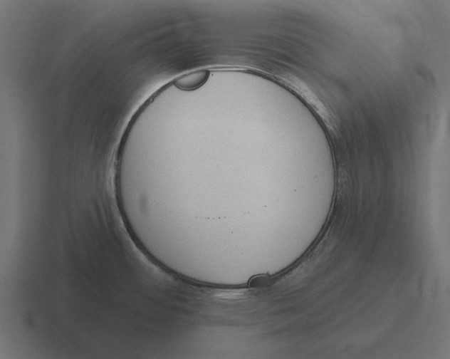 X0000116511484200912292134