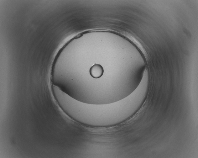 X0000116511485200912292134