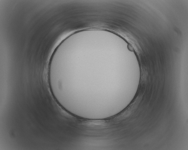 X0000116511486200912292134