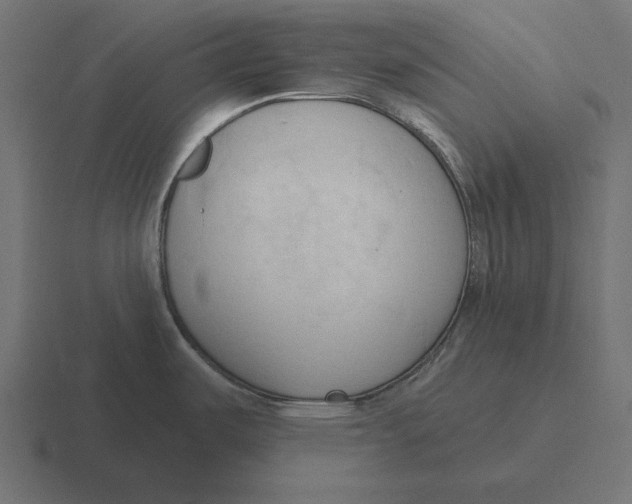 X0000116511487200912292134