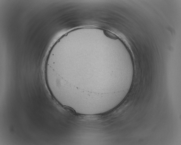 X0000116511488200912292134