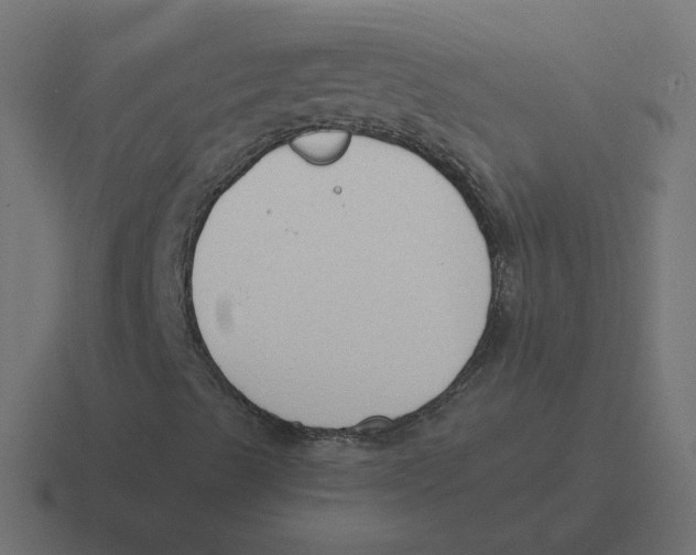 X0000116511489200912292134