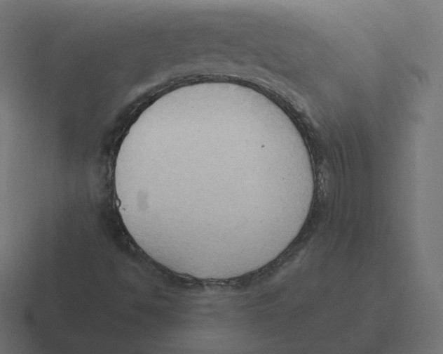 X0000116511494200912292134