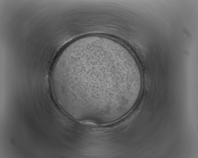 X0000116511497200912292134