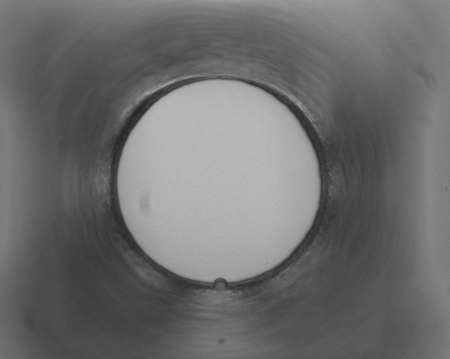 X0000116511499200912292134