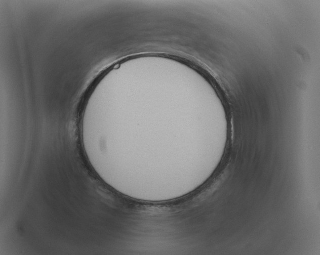 X0000116511501200912292134