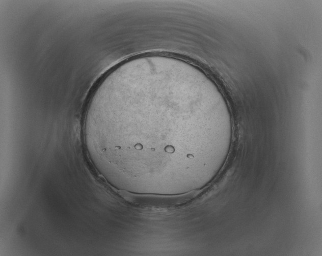 X0000116511505200912292134