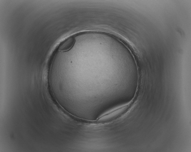 X0000116511506200912292134