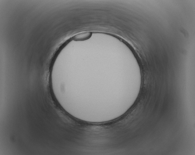 X0000116511507200912292134