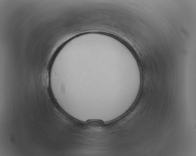 X0000116511509200912292134