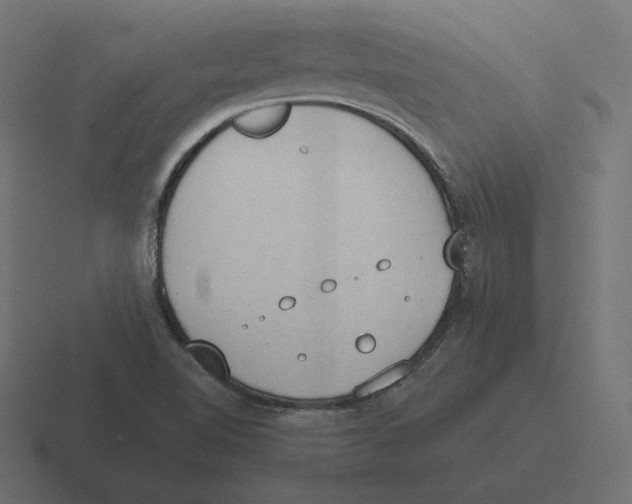 X0000116511510200912292134