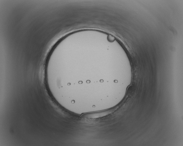 X0000116511511200912292134