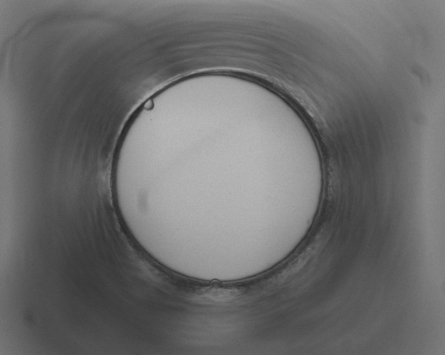 X0000116511513200912292134