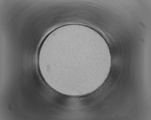 X0000116511514200912292134