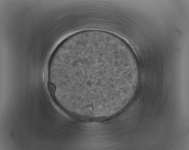 X0000116511515200912292134