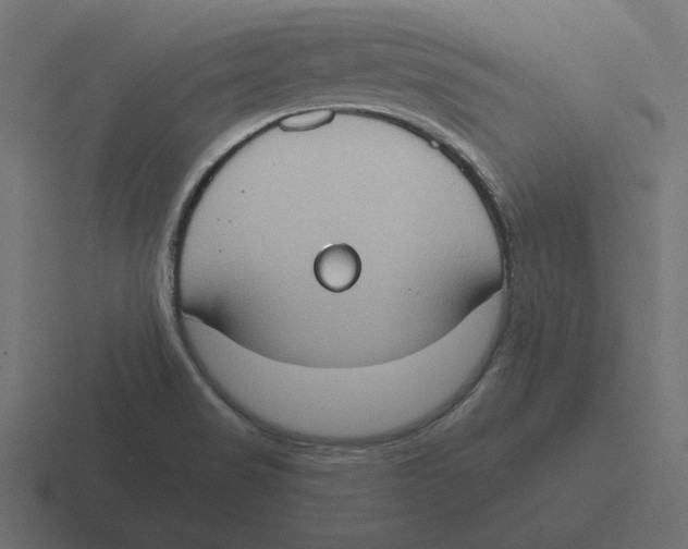 X0000116511517200912292134