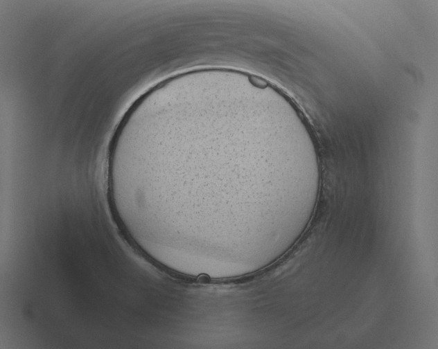 X0000116511519200912292134