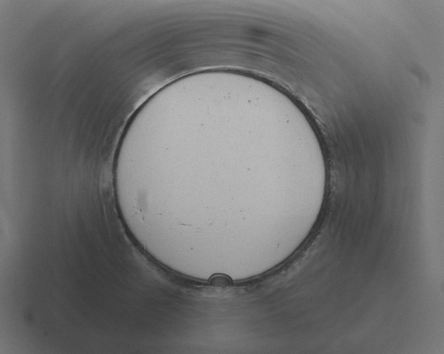 X0000116511521200912292134