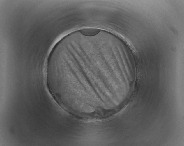 X0000116511522200912292134