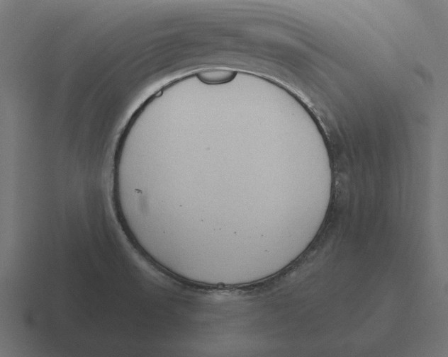 X0000116511523200912292134