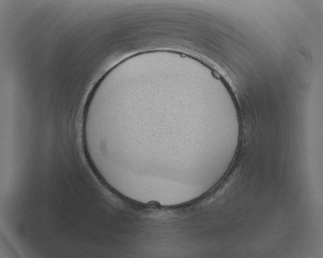 X0000116511525200912292134