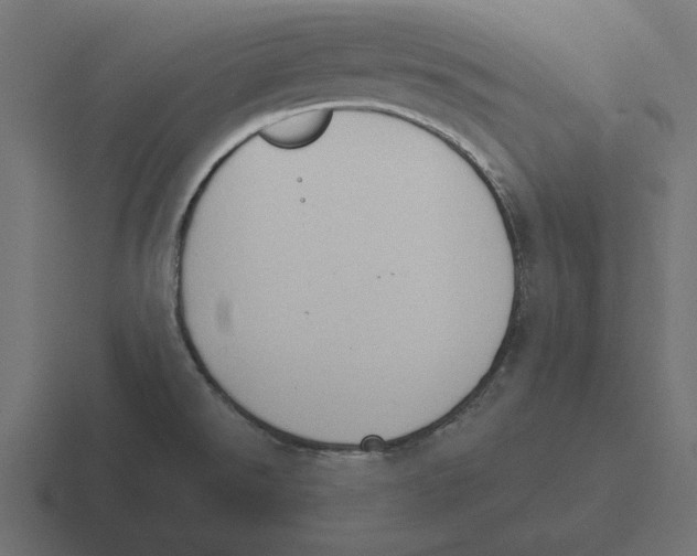 X0000116511526200912292134