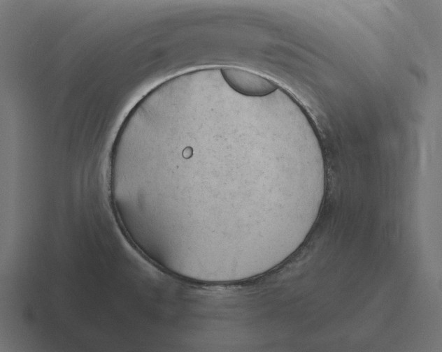 X0000116511527200912292134