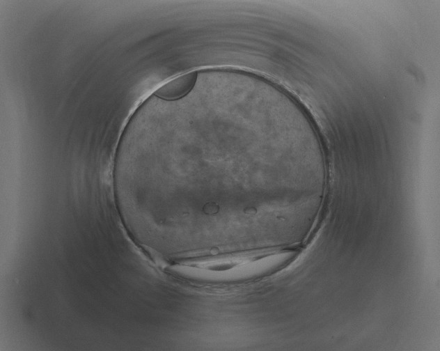 X0000116511529200912292134