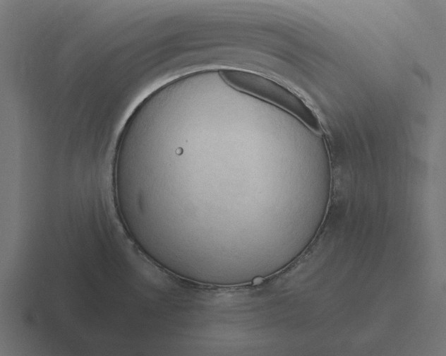 X0000116511530200912292134