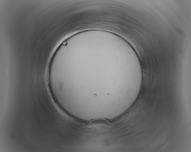 X0000116511531200912292134