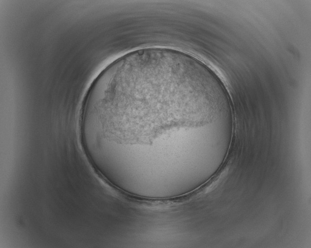 X0000116511533200912292134