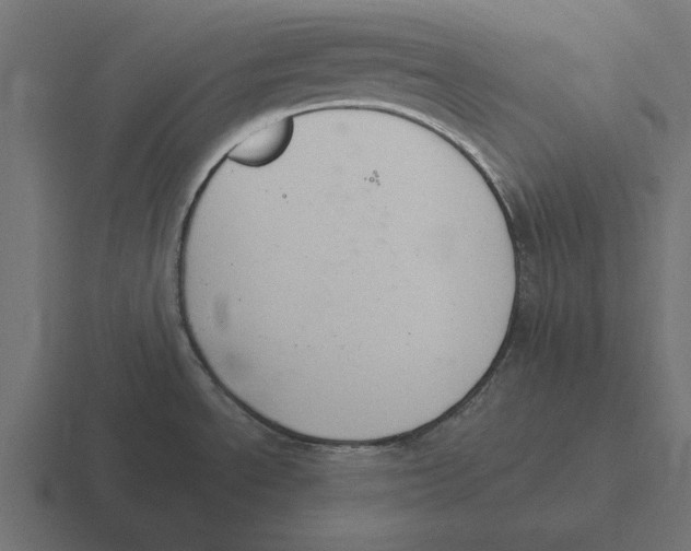 X0000116511534200912292134