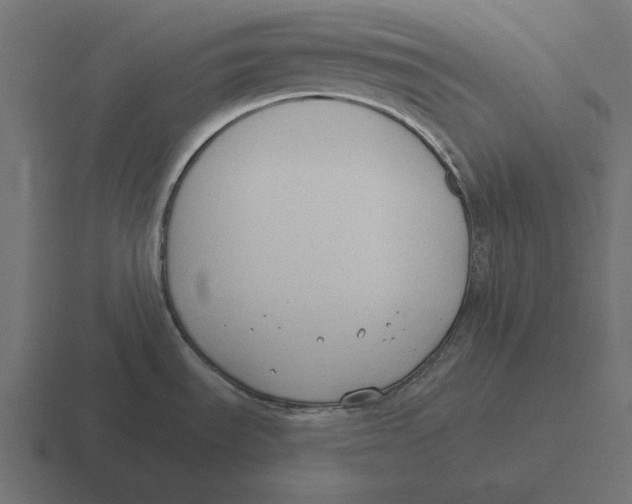 X0000116511535200912292134