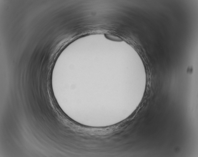 X0000116510001201001061233