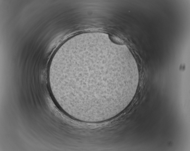 X0000116510002201001061233